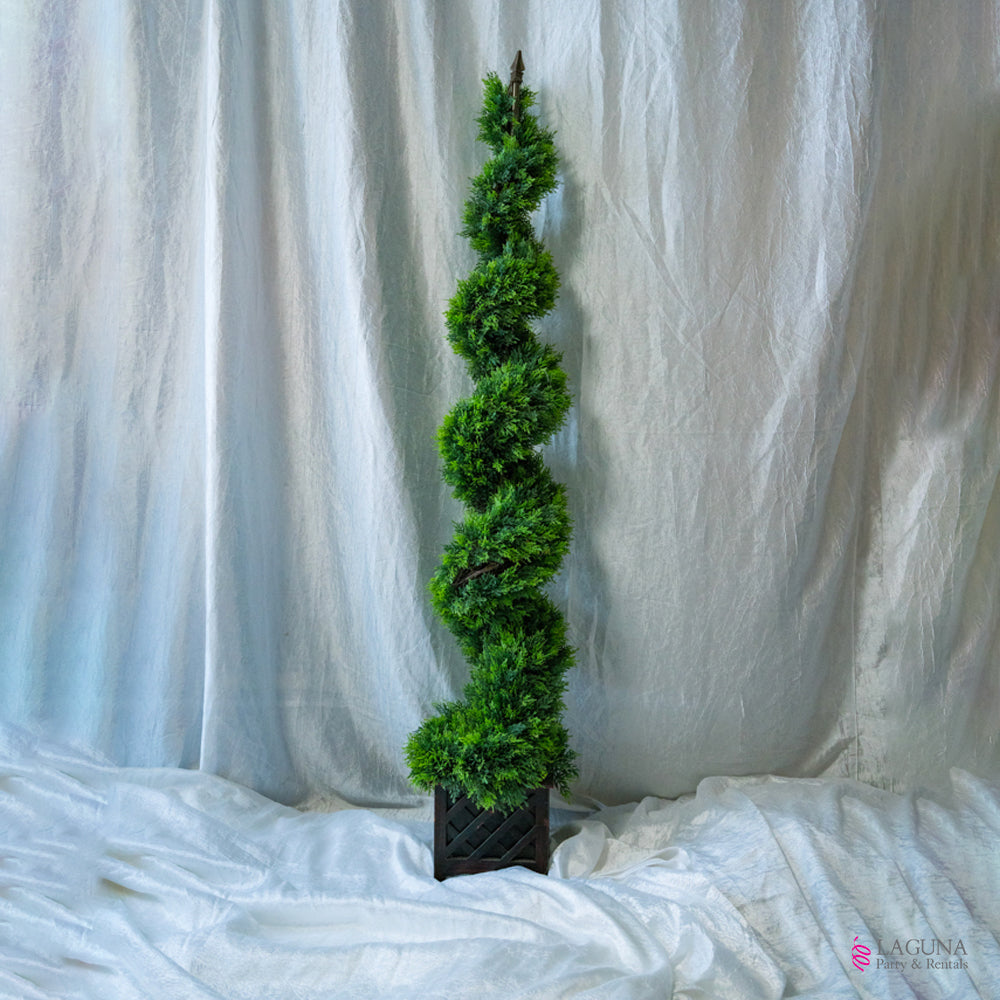 Topiary Rentals Topiary Tree Rental – Lush Decorative Accent